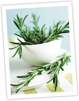 Rosemary
