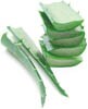 aloe vera leaves