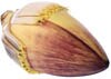 banana flower