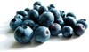 blueberries