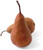 bosc pears