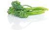 broccolini