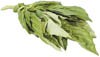 bunch basil