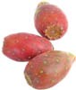 cactus pears