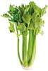 celery