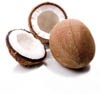 coconuts