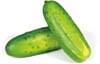baby seedless cucumbers