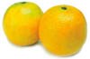 Florida juice oranges