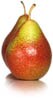 forelle pears