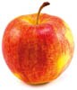 gala apple