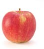 jonagold apple