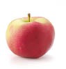 mcintosh apple
