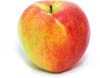macoun apple