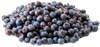 Maine blueberries