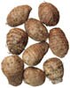 malanga