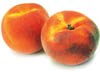 tree ripe peaches