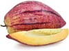 pepino melon
