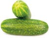 pickling cucumbers