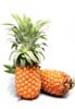 premimum gold pineapple