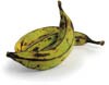 plantain bananas