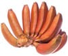 red bananas