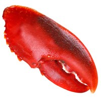 Our Seafood Sustainability Commitment